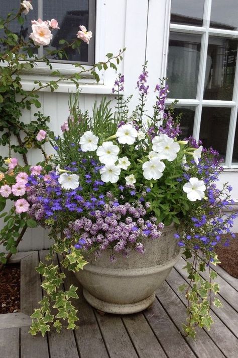 Porch Flowers, Container Garden Design, Cottage Garden Design, Container Gardening Flowers, Backyard Diy, Flower Pots Outdoor, Container Design, Have Inspiration, Garden Containers