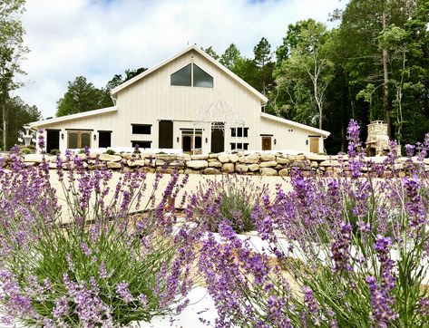 LAVENDER OAKS FARM Chapel Hill, NC – LAVENDER FARM & HISTORIC BARNS Wedding Lavender, Timber Frame Barn, Hand Hewn Beams, Cafe Delites, Provence Lavender, Venue Rental, Chapel Hill Nc, Lavender Farm, Lavender Wedding