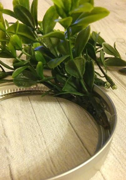 How To Store Faux Greenery, Small Wreaths Diy, Mini Wreaths Diy, Mini Wreath Ideas, Small Wreath Ideas, Laurel Wreath Diy, Mini Wreath Diy, Small Boxwood Wreath, Boxwood Wreath Decor