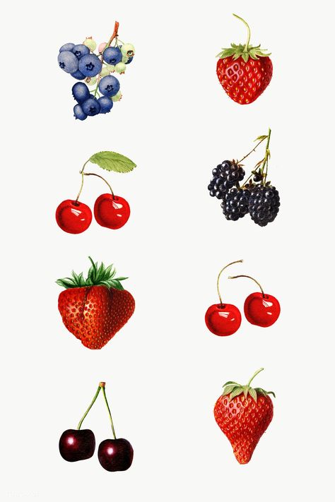 Blackberry Illustration, Black Berries, Flower Chart, Berry Wedding, Dessert Illustration, Photo Elements, Berry Tart, Cherry Wine, Food Png