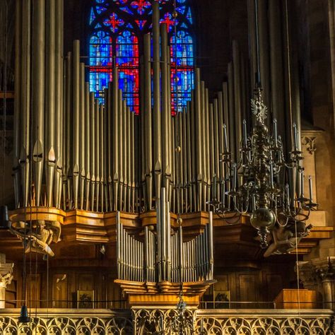 Giant Organ (that's the name). More info at: https://www.wiener-dommusik.at/organ_giant.php Organ Piano Aesthetic, Organ Instrument Aesthetic, Organ Instrument, St Stephen's Cathedral Vienna, Organ Piano, Organ Music, Music Sound, Still Life, Piano