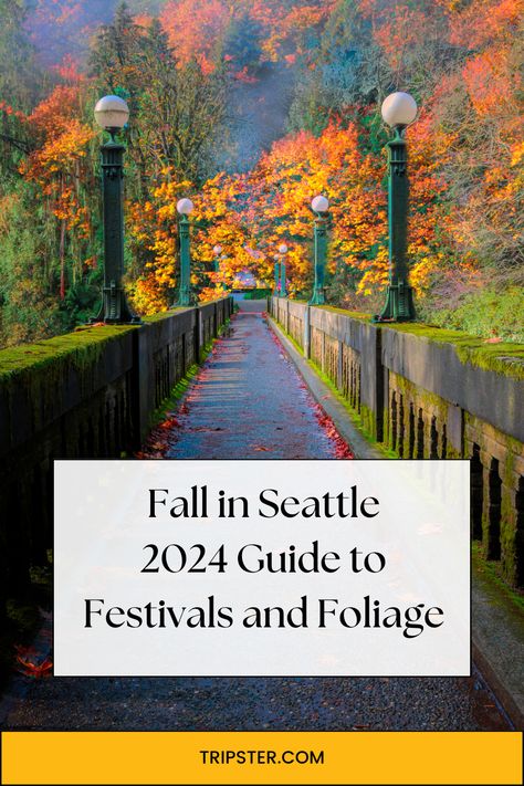 The image shows a path lined with trees covered in vibrant autumn foliage. There are tall, green lamp posts on either side of the path, and the ground is scattered with fallen leaves. The text on the image reads, "Fall in Seattle 2024 Guide to Festivals and Foliage" with the URL "Tripster.com" at the bottom. Autumn In Seattle, Seattle Things To Do In Fall, Seattle In The Fall, Seattle Fall Aesthetic, Seattle In November, Seattle In October, Fall In Seattle, Seattle Nightlife, Seattle Fall