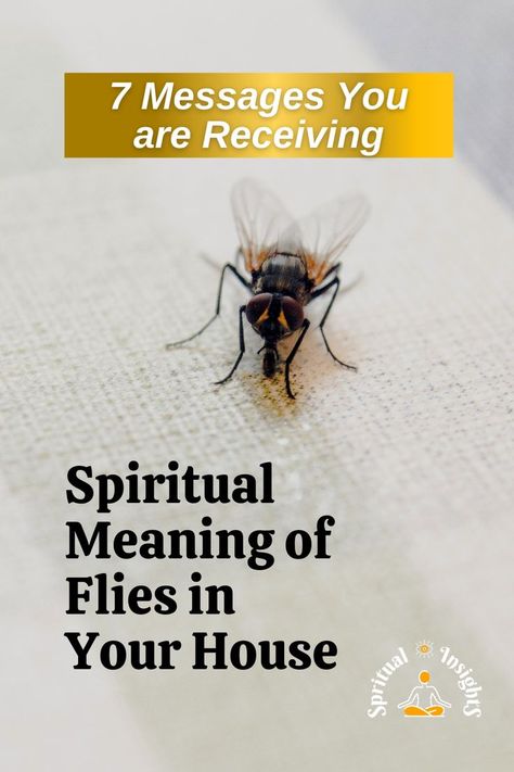 Spiritual Meaning of Flies in Your House – 7 Messages You are Receiving Flies In Witchcraft, Spiritual Meaning Of Flies, Cockroach Spiritual Meaning, Fly Spiritual Meaning, Flys In The House, Fly Symbolism, Witchcraft Meaning, Witch Meaning, Spirit Animal Meaning