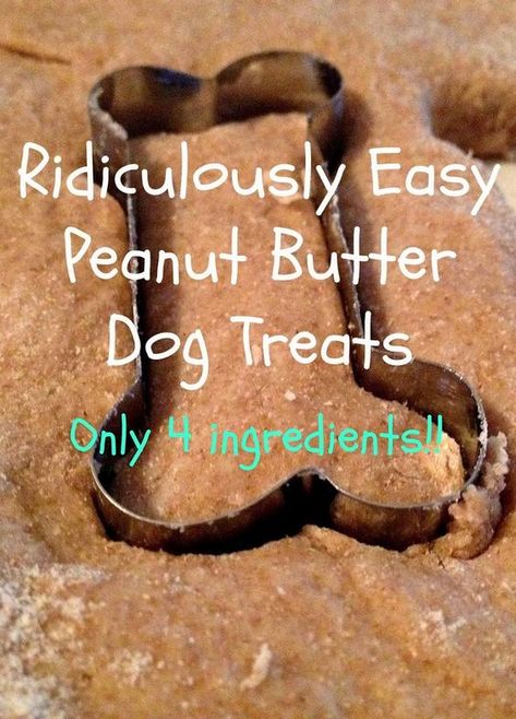 Homemade Peanut Butter Dog Treats Recipe, Rambo 3, Dog Treat Recipe, Peanut Butter Dog Treats, Fu Dog, Food Dog, Diy Dog Treats, Puppy Treats, Easy Peanut Butter