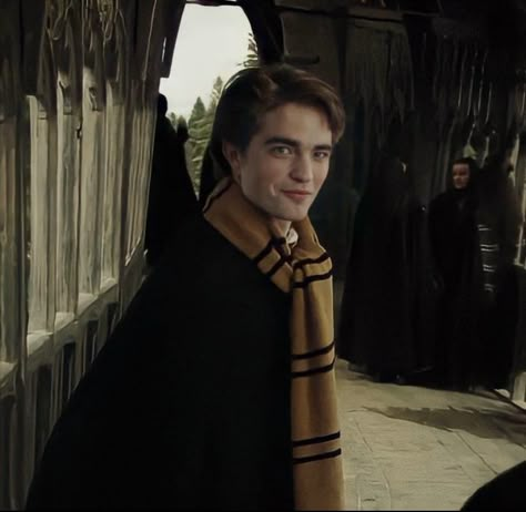 Goblet Of Fire, Cedric Diggory, Harry Potter