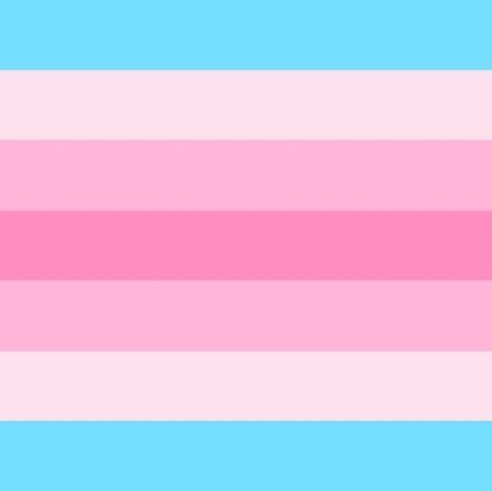 Trans Feminine Flag, Transfemme Flag, Fem Xenogenders, Transfem Flag, Xeno Flags, Transgender Quotes, Genderfluid Flag, Collective Identity, Nonbinary People