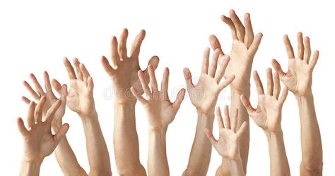 Many Hands Reaching Up. As if asking a question isolated on white , #Ad, #Reaching, #Hands, #question, #white, #isolated #ad Hand Reaching Out Drawing, Hands Reaching Out, New Project Ideas, Zombie Hand, School Murals, Hand Photography, Human Anatomy Drawing, Hand Images, Hand Reference