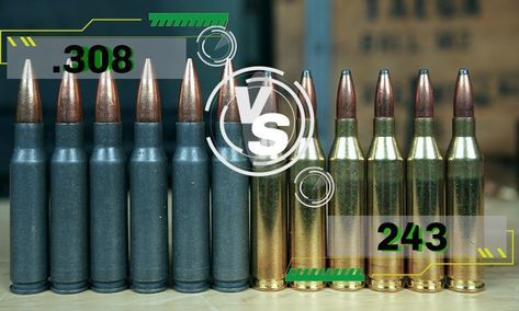 243 vs. 308: Which One Is Best for You? Harvest Games, 243 Winchester, 308 Winchester, Bear Creek, Compare And Contrast, Winchester, All Inclusive, Arsenal, Hunting