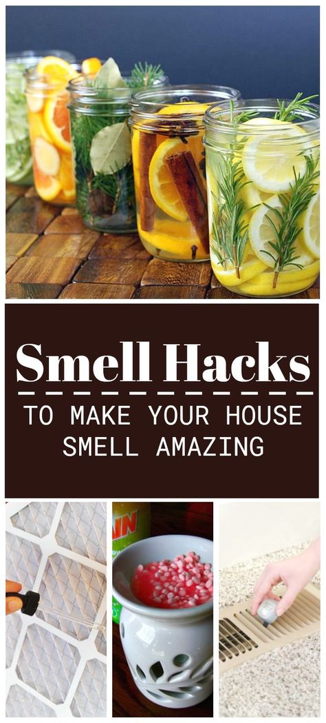 10 Ways to Make Your House Smell Good - I heart these 10 smell hacks to remove bad odors and fill the home with good smells. Get Rid Of Odor In House, Natural Smells For Home, Get Rid Of Food Smell In House, How To Get Rid Of Bad Smell In House, How To Get Rid Of Food Smell In House, Home Smell Good Hacks, Smell Good Hacks, Odor Remedies, Make Your House Smell Good