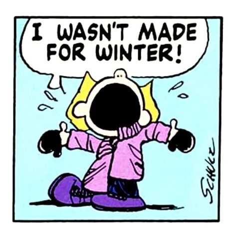 Snoopy Nation | Not everyone is a fan of WINTER | Facebook Peppermint Patty Peanuts, Winter Humor, Snoopy Collectibles, Peanut Gang, Peppermint Patty, Old School Cartoons, Alice And Wonderland Quotes, Peanuts Cartoon, Snoopy Images