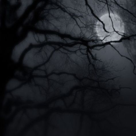 Dark Atheistic, Werewolf Aesthetic, Vampire Goth, 2024 Halloween, رعب نفسي, Phone Theme, Gothic Aesthetic, Mystic Falls, Halloween Vibes