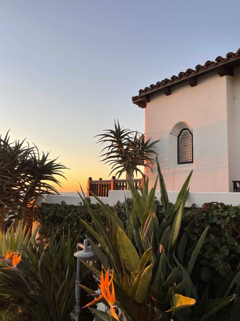 Aesthetics of california sunset with palm trees and minimalist architecture California Lifestyle Aesthetic, Cali House, Lounge Aesthetic, California Backyard, California Life, Palm Tree Decorations, California Architecture, California House, Aesthetic Apartment