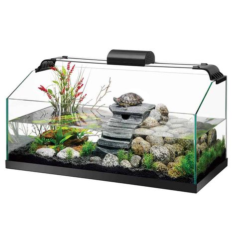 Zilla Premium Aquatic Turtle Kits Aquatic Turtle Tank, Turtle Tank Setup, Turtle Terrarium, Turtle Aquarium, Turtle Care, Turtle Homes, Slider Turtle, Water Turtle, Tortoise Care