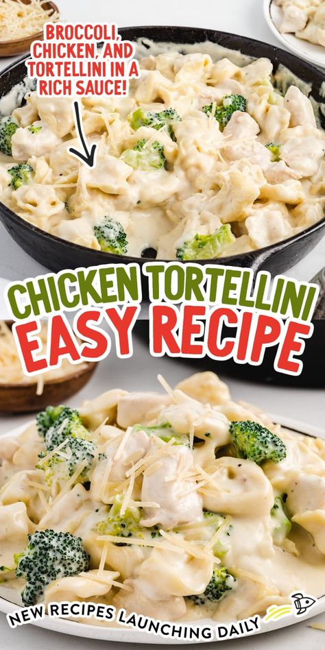 Chicken Tortellini Cozy Pasta, Cheese Tortellini Recipes, Creamy Garlic Pasta, Dinner Quick, Tortellini Bake, Creamy Parmesan Sauce, Chicken Tortellini, Creamy Pasta Dishes, Tortellini Recipes