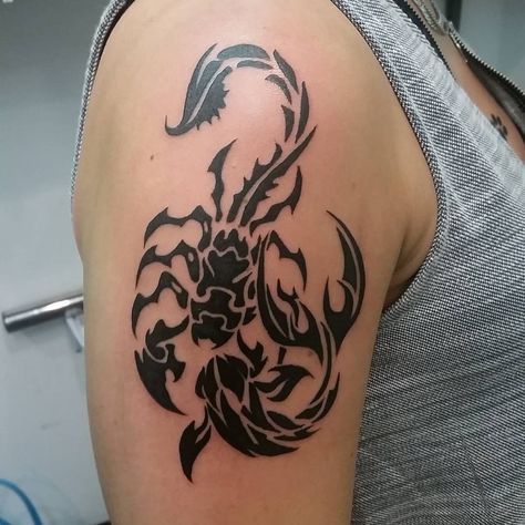 An black tattoo design which conveys the relationship between the zodiac signs, Scorpio and Pisces. The tattoo is located on the upper arm; near the shoulder; and it is mainly an image of a scorpion, which highlights it’s dominant nature. In addition, a fish which is located right below the scorpion, that elaborates the submissive nature of a Pisces. Scorpio Pices Tattoo, Scorpio And Pisces Tattoo Combined, Scorpio Pisces Tattoo, Pices Zodiac Tattoo Women, Scorpio X Pisces, Tattoos Pisces, Tattoo Gemini, Tattoo Pisces, Scorpio And Pisces