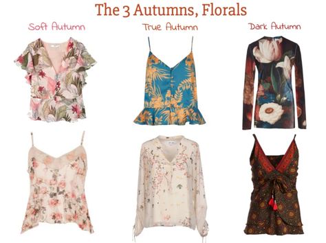 Autumn Progressions, Florals - 12 Blueprints Copper Autumn, 12 Blueprints, Deep Autumn, Dark Autumn, Soft Autumn, Color Harmony, Color Analysis, Of Outfits, The Script