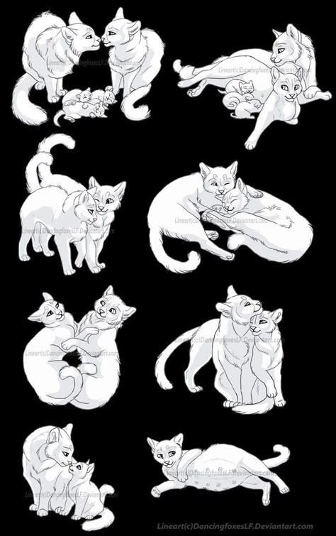 Cat Poses Art, Warrior Cats Pose Reference, Warrior Cat Poses Drawing Reference, Poses With Cats Reference, Warrior Cat Drawing Reference, Cat Base Drawing, Warrior Cat Base, Cat Drawing Base, Warrior Cats Drawing Base