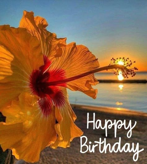 Tropical Happy Birthday Wishes, Beachy Birthday Wishes, Happy Birthday Beach Images, Happy Birthday Wishes For Her, Happy Birthday Hd, Animated Happy Birthday Wishes, Happy Birthday Wishes Pics, Birthday Wishes Pics, Birthday Wishes Greetings