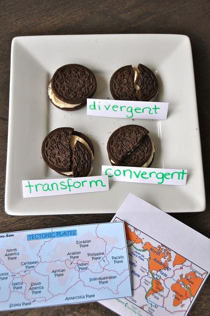 DSC_0653 | SortingSprinkles | Flickr Elementary Earth Science, Earth Science Middle School, Earth Science Projects, Earth Science Activities, Earth Science Lessons, 7th Grade Science, 8th Grade Science, Earth And Space Science, Plate Tectonics