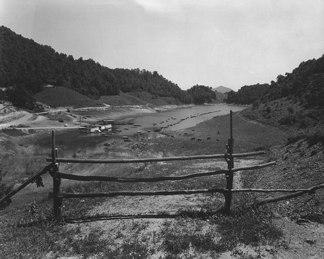 A view of Hanks Boat Dock on Watauga Lake. Date: 6/19/1952 Lake Date, Watauga Lake, Csx Transportation, Mountain City, Johnson County, State Of Grace, Tennessee State, Book Report, East Tennessee