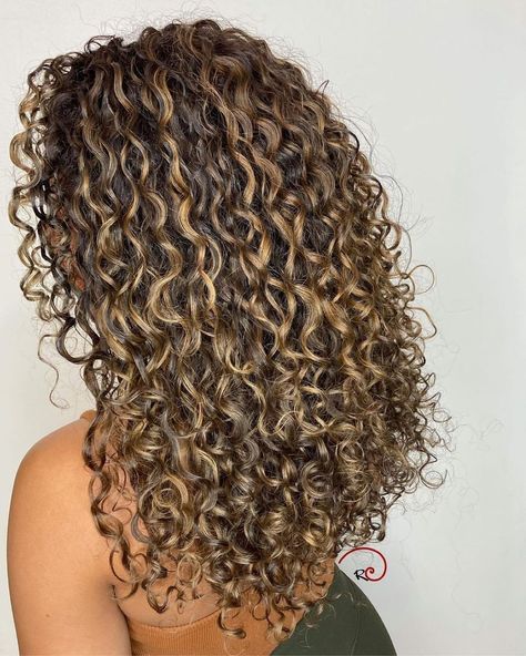 Curly Hair Goals Volume and Color 3b Hair Highlights, Curly Bayalage Hair, Blonde Highlights On Curly Hair, Pintura Highlights Curly, Curly Balayage Hair, Curly Hair Goals, Blonde Highlights Curly Hair, Curly Hair Color, Curly Hair Highlights