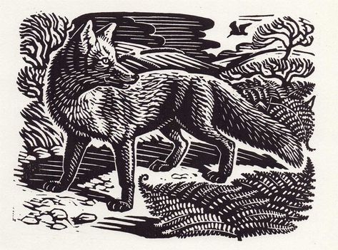 Richard Allen Fox & Woodcock (edition of 50, 5 available), Linocut , 15 x 20 cm wildlife art exhibited at the Society of Wildlife Artists at Mall Galleries. Affordable Art Available to Buy Now Richard Allen Art, Fox Woodcut, Animal Linocut, Linocut Art Ideas, Fox Linocut, Linocut Animals, Lino Cut Art, Linocut Illustration, Richard Allen