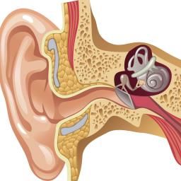 Eustachian Tube Dysfunction, Earache Remedies, Ear Anatomy, Middle Ear, Nasal Spray, Sinus Infection, Ear Wax, Hearing Loss, Home Remedies