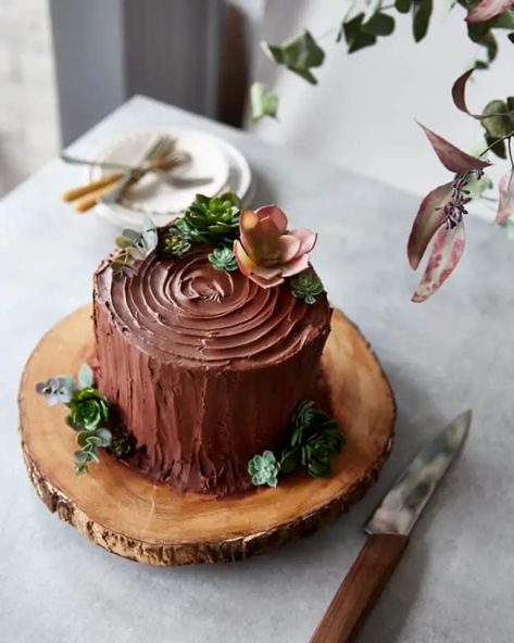 Tree Stump Cake (Vertical Layer Chocolate & Coffee Yule Log) - Izy Hossack - Top With Cinnamon Chocolate Tree Stump Cake, Squirrel Party, Yule Log Cake Recipe, Stump Cake, Tree Stump Cake, Yule Log Recipe, Chocolate Log, Chocolate Yule Log, Yule Log Cake