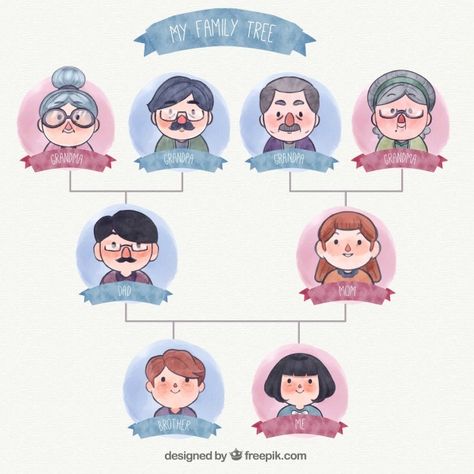 Family Tree Illustration, Genealogical Tree, Family Tree Drawing, Family Tree Clipart, Family Tree For Kids, Family Tree Craft, Family Tree Art, Family Tree Template, Preschool Colors