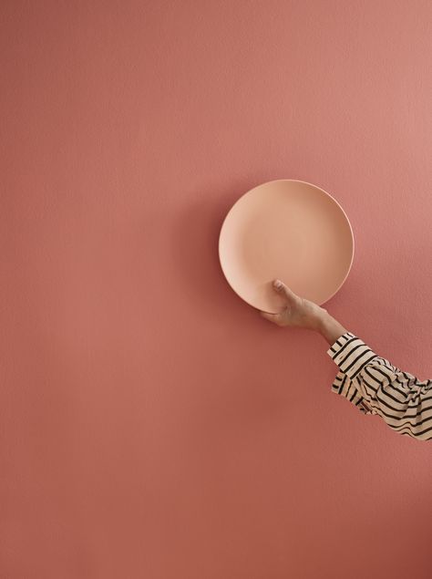 Our paint palette produced in England is made from high quality ingredients. Featured here are our Terracotta Pot painted on the wall and Peach Juice shade on the dipped plate. Terra Cotta Paint Color, Brick Wall Tiles, Terracotta Paint, Wet Room Flooring, Peach Walls, Glazed Brick, Deco Rose, Gorgeous Tile, Painted Terra Cotta Pots