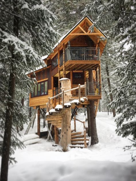 These 11 Vacation Homes Are Built for Adventure—Rent Them Now Nature Pond, Window Wells, Indoor Slide, Beautiful Tree Houses, Tree Tent, Black Houses, Storm Shelter, Cool Tree Houses, Tree House Designs