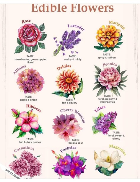 Pretty Flower Names, Edible Flower Garden, Micro Herbs, Flower Dictionary, Flower Tips, Botanical Embroidery, Flower Varieties, Different Types Of Flowers, Spiritual Journals