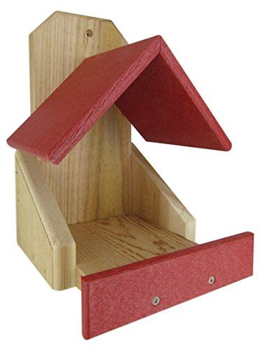 Homemade Bird Houses, Window Bird Feeder, Bird House Feeder, Bird House Plans, Bird Houses Diy, Bird Boxes, Nesting Boxes, Wooden Bird, Backyard Birds