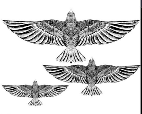 Flying Hawk Tattoo Design, Hawk Flying Tattoo, Falcon Wings Tattoo, Hawk Sketch Tattoo, Spiritual Hawk Tattoo, Tattoo Sign, Wings Tattoos, Tattoo Wings, Bird Tattoo Men