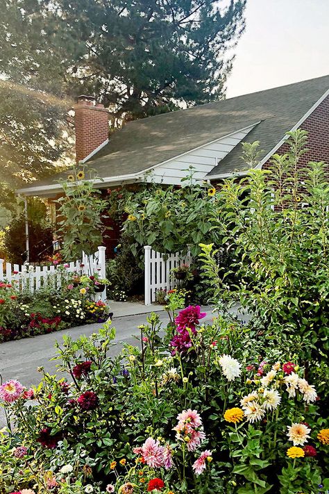 Sunflower Front Yard, Sunflowers Front Yard, Zinnias And Sunflowers, Patio Design Modern, Front Yard Garden Landscaping, Mini Farming, Jar Garden, Exterior Updates, Witch's Garden