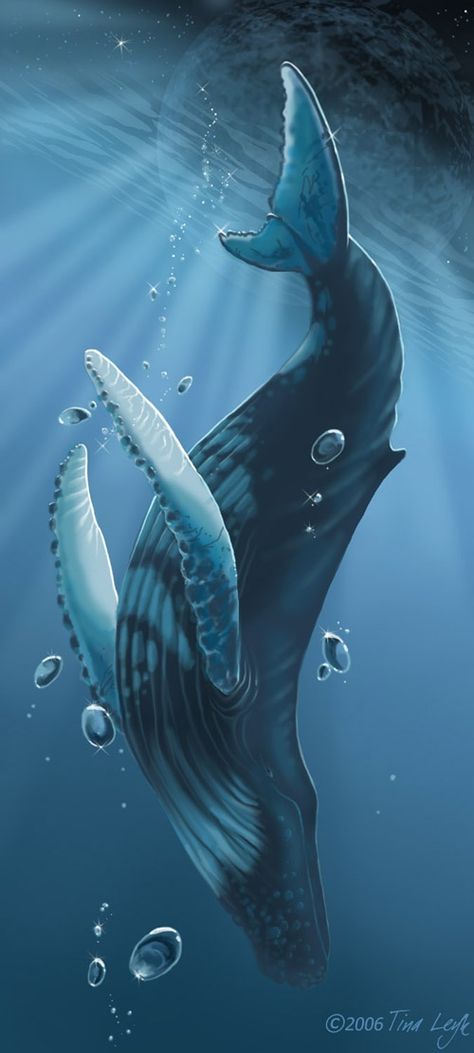 Humpback whale....one of world's most beautiful creatures! Whale Drawing, Whale Illustration, Whale Painting, Arte Doodle, Whale Tattoos, Draw Animals, Whale Art, A Whale, Sea Art