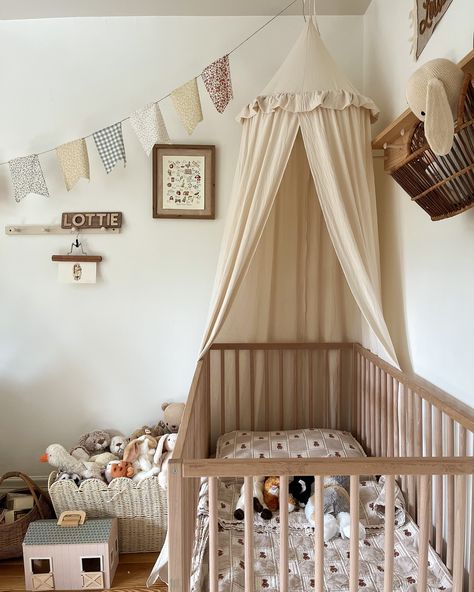 Crib Attached To Bed, Next To Me Crib Set Up, Nesting Crib Nursery, Canopy Over Crib, Next To Me Crib, Vintage Baby Rooms, Big Girl Bed, Girl Bed, Creating Keepsakes