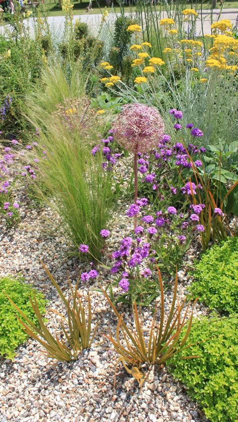 Gravel Garden Beth Chatto, Coastal Gravel Garden, Plants In Gravel Landscaping, Beth Chatto Dry Garden, Gravel Garden Plants, Planting In Gravel, Plants For Gravel Gardens, Gravel Garden Planting, Beth Chatto Garden