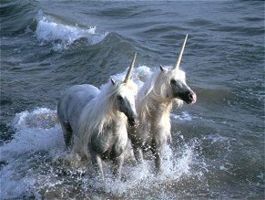 Unicorns by Vavra  The Last Unicorn was REAL beezies  xDDD Robert Vavra, I Am A Unicorn, I Believe In Unicorns, Unicorn And Fairies, Chasing Unicorns, Real Unicorn, Unicorn Pictures, Fantasy Horses, Last Unicorn