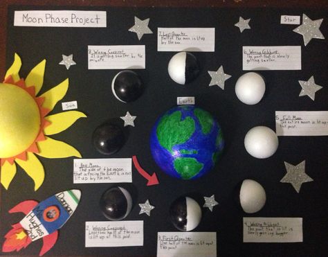 moon phases project Moon Phases Science Fair Project, Phases Of The Moon Bulletin Board, Moon Phases Poster Project, Science Fair Space Projects, Moon Phase Science Project, Moon Phase School Projects, Moon Phases Project Ideas, Moon Cycle Project, Lunar Cycle Project