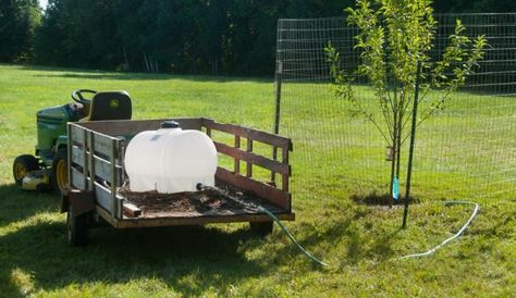 Water Your Orchards Effectively With a 35-Gallon Leg Tank - Hobby Farms Tree Irrigation, Watering Trees, Water Irrigation System, Orchard Tree, Water Irrigation, Portable Garden, Garden Watering, Farm Tools, Diy Water