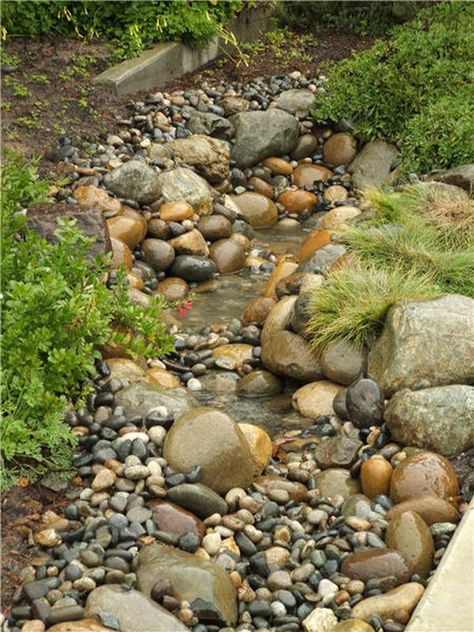 Dry Creek Bed Gardens | The Owner-Builder Network Dry Riverbed Landscaping, Stream Bed, Yard Drainage, Dry Creek Bed, Dry River, Creek Bed, River Bed, Rock Garden Landscaping, Dry Creek