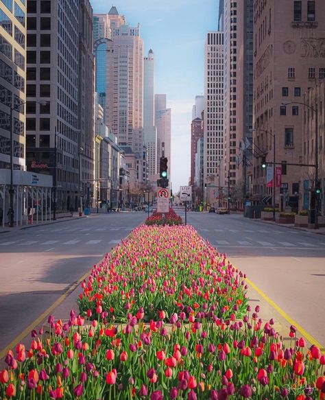 The Magnificent Mile | Chicago (@themagmile) posted on Instagram: “To all mothers who are truly MAGNIFICENT, Happy Mother’s Day! 📸: @kendancyphotography” • May 9, 2022 at 1:24am UTC Spring In Chicago, Mile High Windy City Aesthetic, Chicago Millennium Park, Magnificent Mile Chicago, Chicago Magnificent Mile, Magnificent Mile, Mile High City, Chicago Travel, Illinois