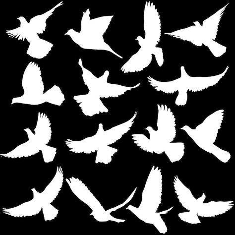 Concept of love or peace set of silhouet... | Premium Vector #Freepik #vector #white-bird #flying-dove #freedom-bird #pigeon-logo Dove Freedom, Bird Flying Illustration, Dove Silhouette, Pigeon Illustration, Bird Freedom, Doves Flying, Pigeon Logo, Concept Of Love, Freedom Bird