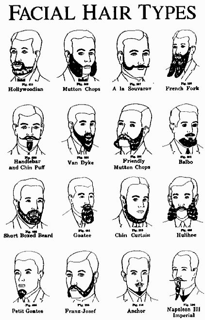 One of the best things about being a dude is creative facial sculpting. Facial Hair Styles, Types Of Facial Hair, Mutton Chops, Victorian Men, Mens Facial, Men's Facial Hair, Mens Facial Hair Styles, Hair Guide, Beard Styles For Men