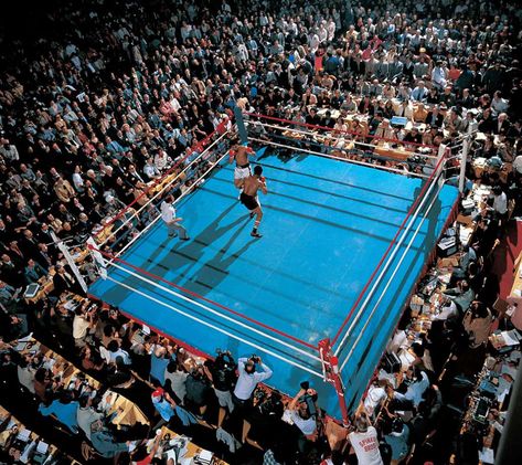 Thrilla In Manila, Larry Holmes, Split Decision, Cassius Clay, Las Vegas Hilton, United Nations Headquarters, Rumble In The Jungle, Muhammed Ali, Champions Of The World