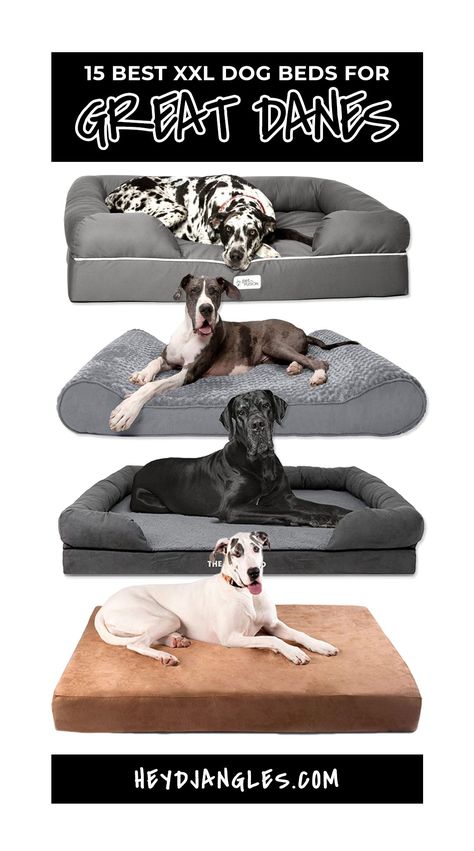 Best XXL Dog Beds for Great Danes - Featuring brands such as Big Barker, Bully Beds, The Dog's Bed, Furhaven, Petfusion and more! #greatdane #giantbreed #bigdog #petbed Great Dane Dog Bed Ideas, Great Dane Bed Ideas, Xxl Dog Bed, Best Dog Beds For Large Dogs, Great Dane Dog Bed, Great Dane Bed, Xl Dog Bed, Dog Beds Homemade, Giant Dog Beds