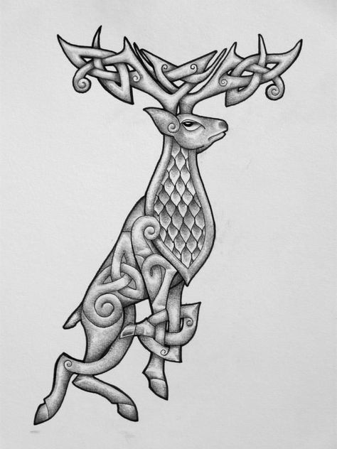 Celtic Stag, Celtic Animals, Stag Tattoo, Irish Tattoos, Deer Tattoo, Norse Tattoo, Nordic Tattoo, Mythology Tattoos, Viking Designs