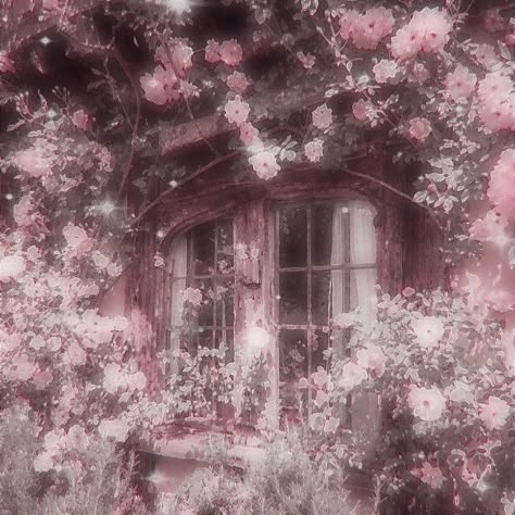 Rosé Core, Pink Nature, Soft Pink Theme, Dreamy Photography, Baby Pink Aesthetic, Rosé Aesthetic, Nothing But Flowers, Pink Garden, Pastel Pink Aesthetic