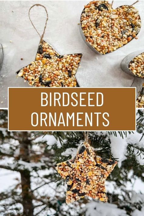 Diy Bird Seed Ornaments, Diy Birdseed Ornaments, Diy Bird Seed, Bird Seed Ornaments Recipe, Seed Ornaments, Birdseed Ornaments, Bird Seed Ornaments, Mud Pies, Homemade Bird Feeders